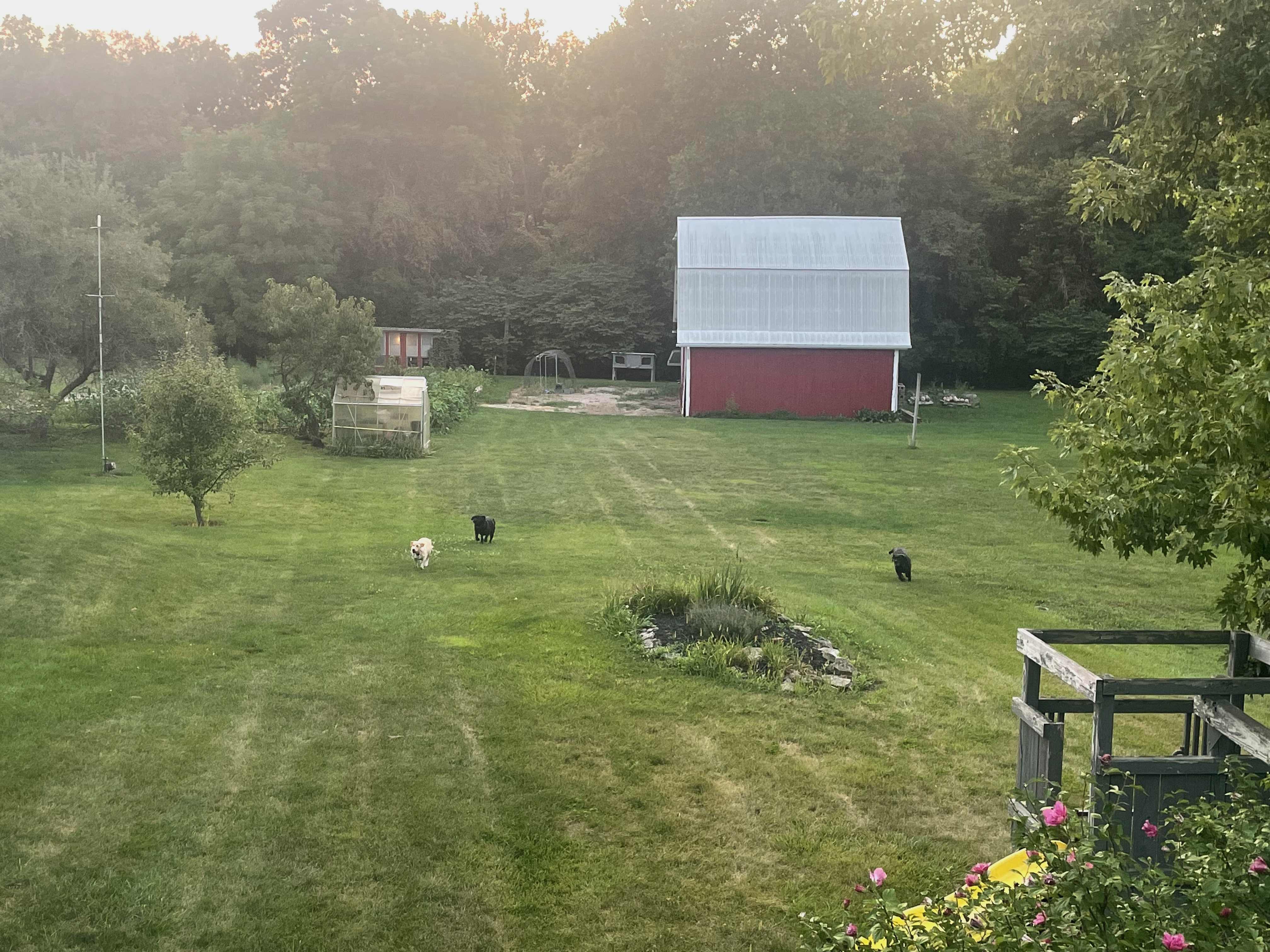 J&M Farms - Our beautiful barn and property